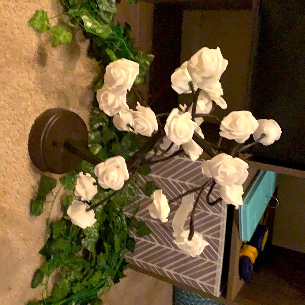 Rose house decor